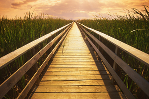 boardwalk