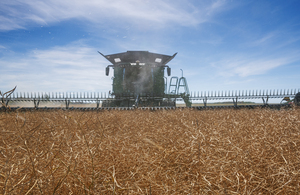 Combine Harvester Straight Cutting Mature Canola