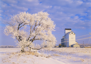 Grain Elevator on a Frosty Day