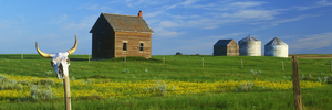 old homestead panoramic