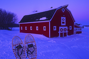 red barn snowshoes