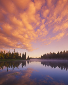 along the Grass River