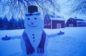 snowman barn