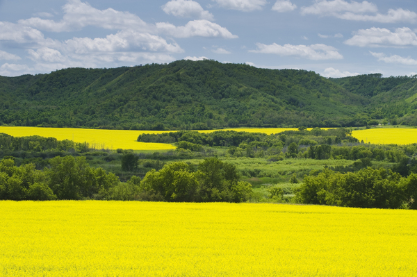 Qu´Appelle  River Valley  by Dave Reede Photohgraphy