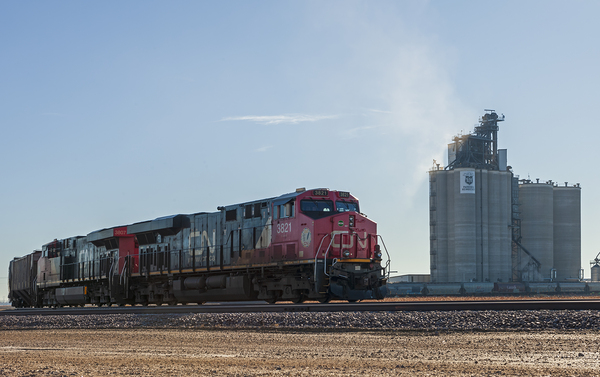 Train Loading Agricultural Hopper Cars by Dave Reede Photohgraphy
