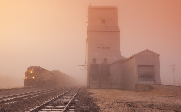 intermodal train passes a farmers grain storage elevator by Dave Reede Photohgraphy