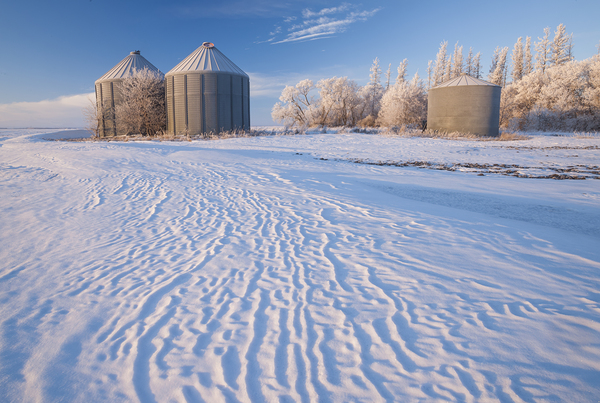 abandoned grain bins  hoarfrost on trees in winter by Dave Reede Photohgraphy