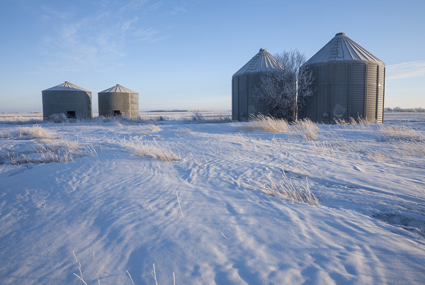 abandoned grain bins  hoarfrost on trees by Dave Reede Photohgraphy