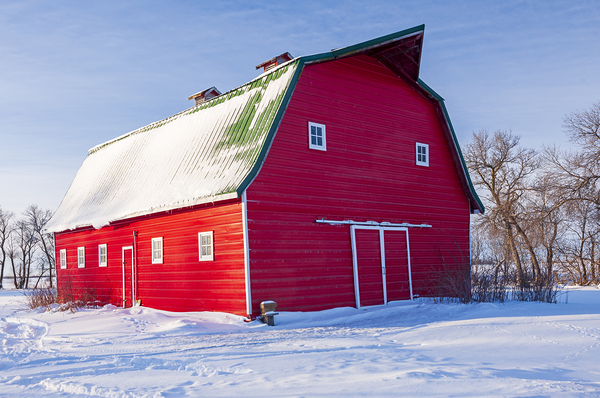red barn  winter Print