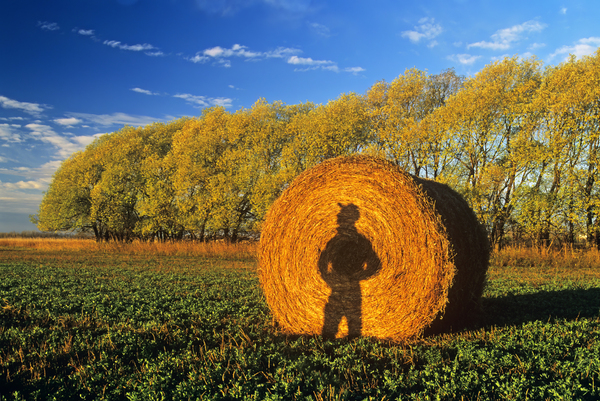 Farmer Shadow Print
