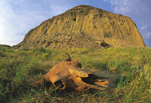 Castle Butte Print