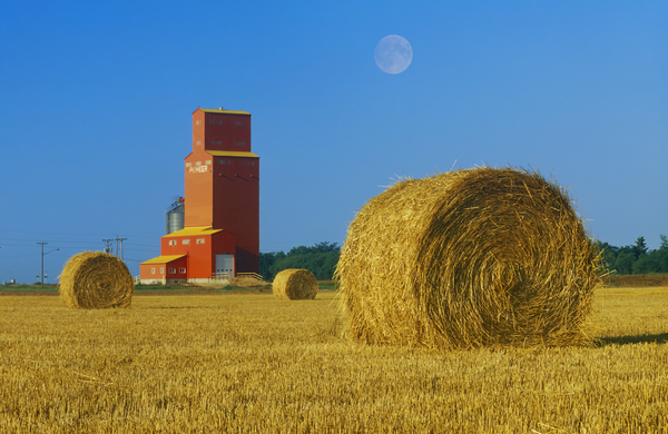 straw bales and  grain elevator by Dave Reede Photohgraphy
