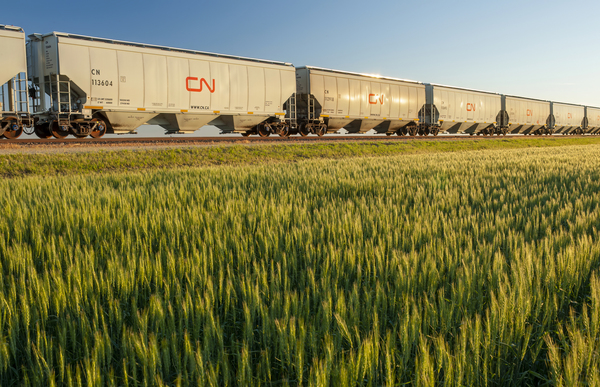 Rail Hopper Cars on a Loop Track by Dave Reede Photohgraphy