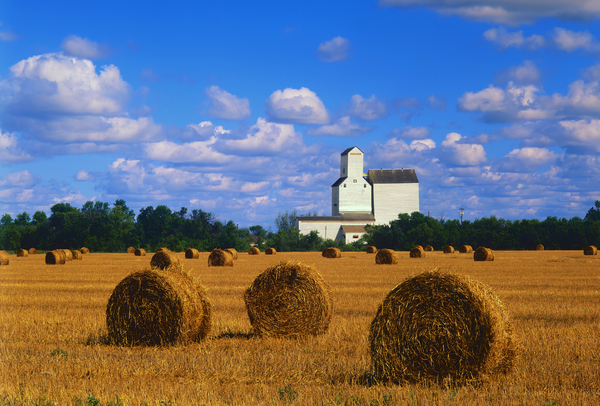 Straw Bales and Grain Elevator Print