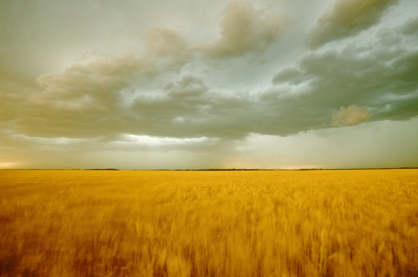 AGPix davereede 7798 by Dave Reede Photohgraphy
