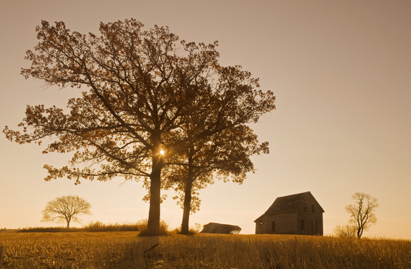 AGPix davereede 9975 by Dave Reede Photohgraphy
