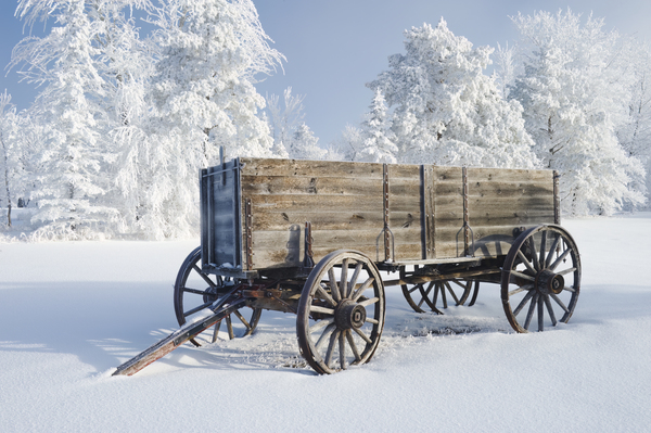 Wagon in the Hoarfrost by Dave Reede Photohgraphy