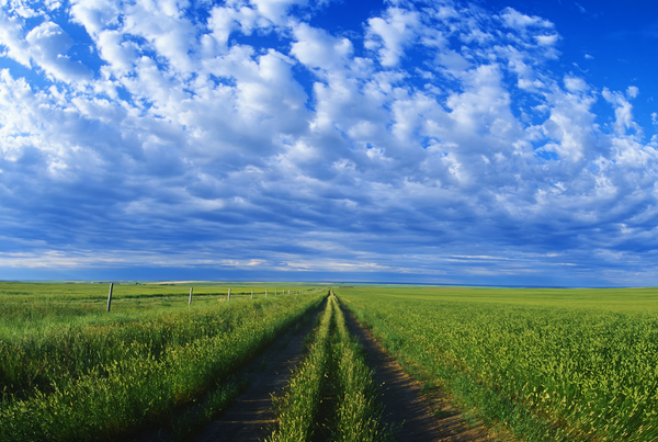 Backroad Print