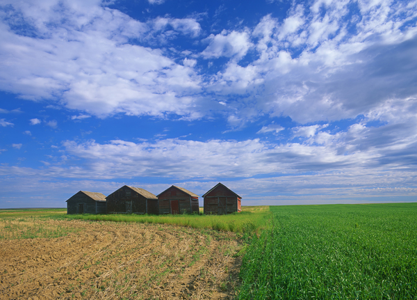 Bins Ponteix by Dave Reede Photohgraphy