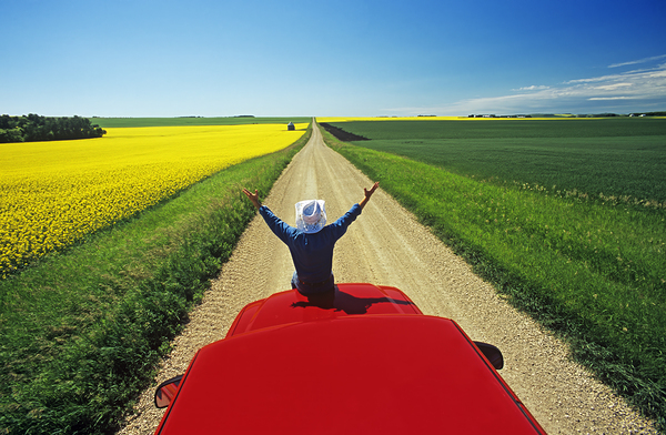 Backroad Excitement Print