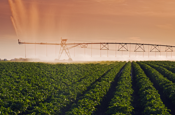 center pivot irrigation system by Dave Reede Photohgraphy