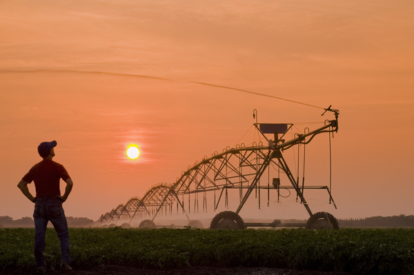 farmer in irrigated potato field by Dave Reede Photohgraphy