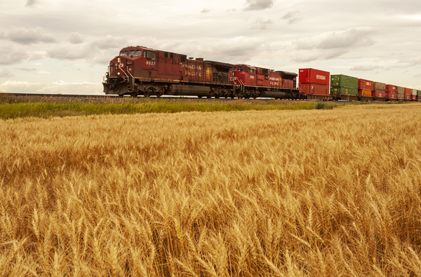 train carrying shipping containers passes a wheat field by Dave Reede Photohgraphy