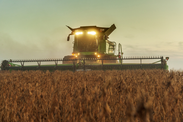 soybean harvest  Print