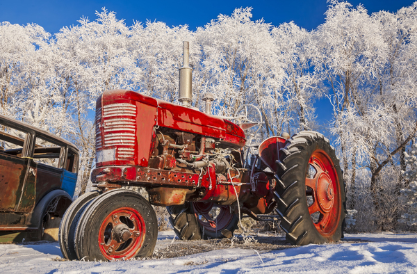 DR 14921 by Dave Reede Photohgraphy