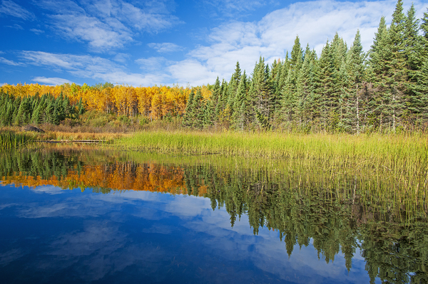Autumn Colours Along Lake Print