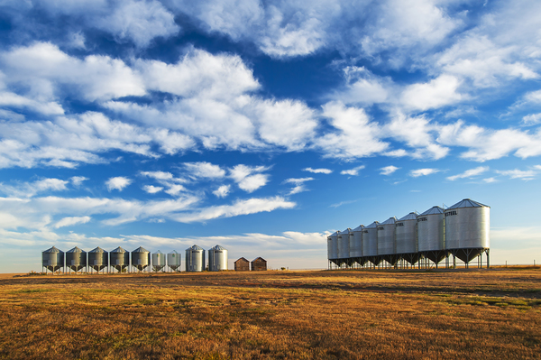 Grain Bins in Farmyard by Dave Reede Photohgraphy