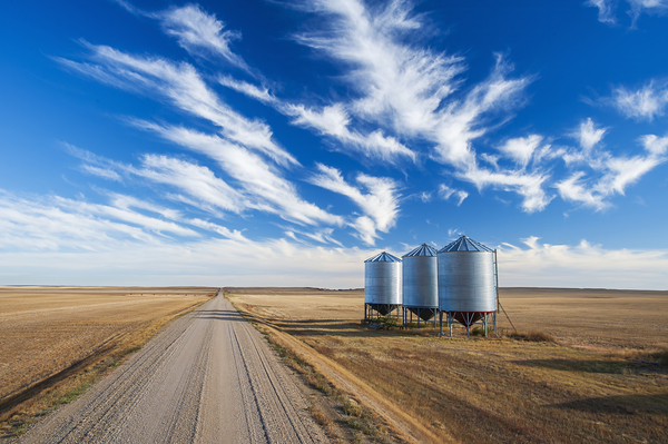 Backroad With Bins on the Side by Dave Reede Photohgraphy