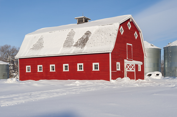 Winter Farmyard Print