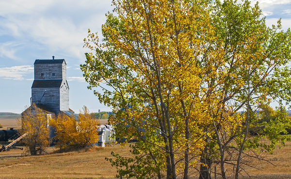 Autumn Day by Dave Reede Photohgraphy