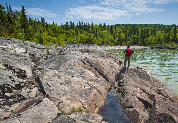 Admiring the View by Dave Reede Photohgraphy