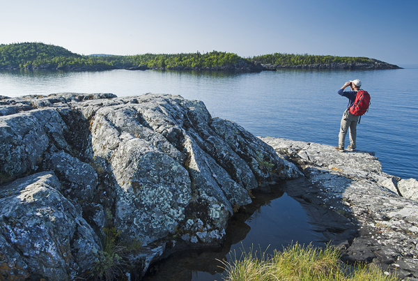 Admiring the View by Dave Reede Photohgraphy