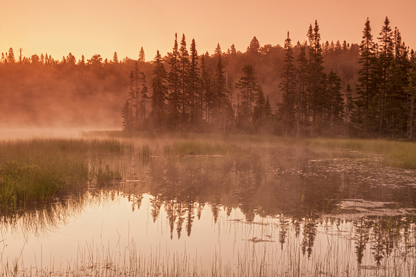 Misty Lake by Dave Reede Photohgraphy