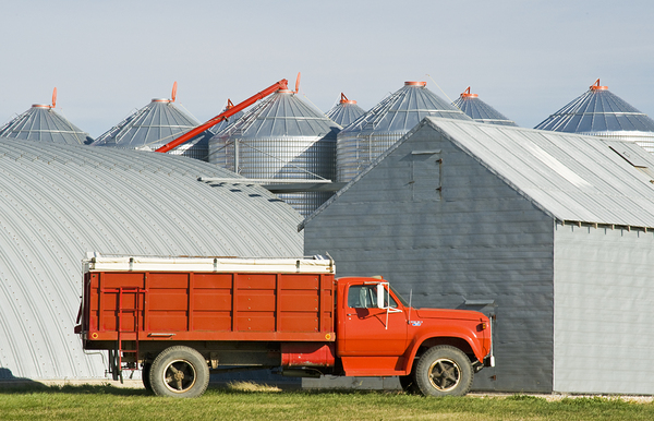 Waiting For Harvest Time by Dave Reede Photohgraphy