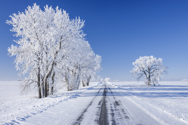 Backroad on a Frosty Afternoon by Dave Reede Photohgraphy
