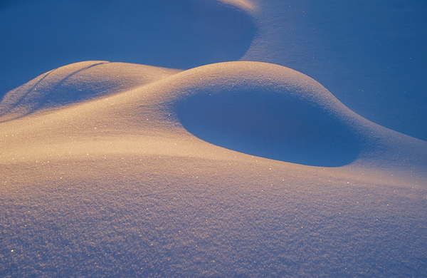 Snow Patterns Print