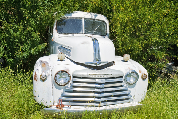 DR 4241 Print