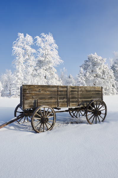 old wagon in the hoarfrost by Dave Reede Photohgraphy
