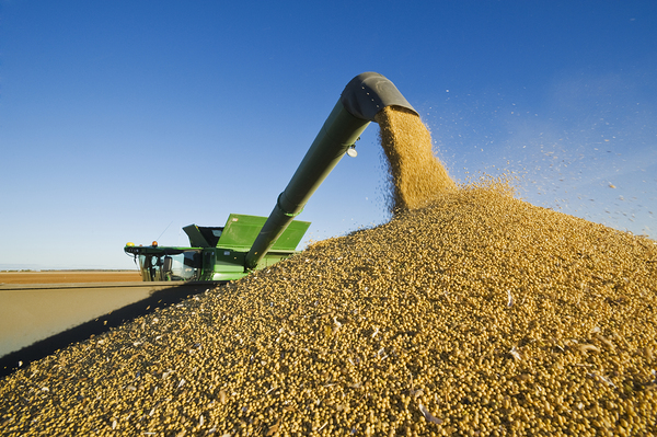 Soybean Harvest Unloading on the Go by Dave Reede Photohgraphy