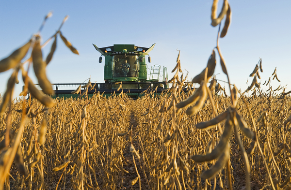Evening Soybean Harvest by Dave Reede Photohgraphy