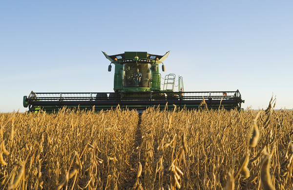 Harvesting Soybeans by Dave Reede Photohgraphy