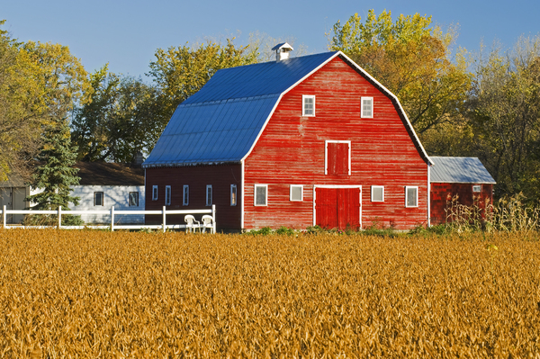 Red Barn  Print