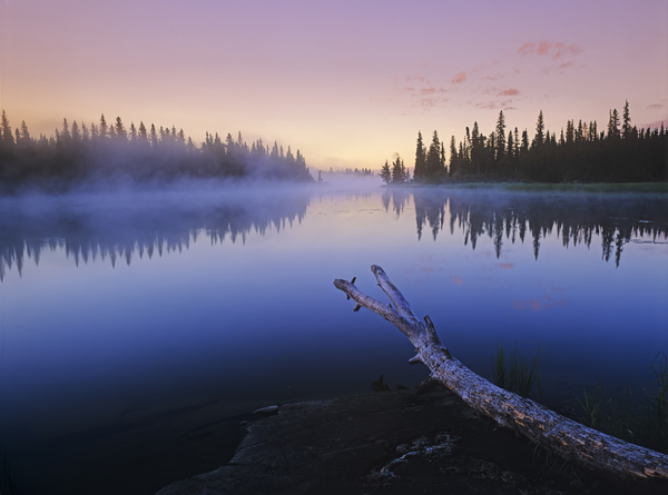Grass River Print