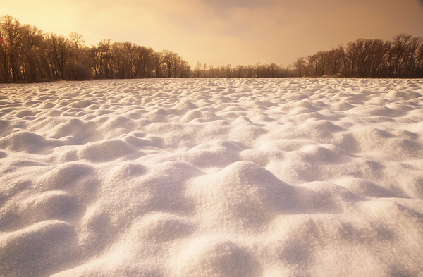  Patterns on Plowed Farmland by Dave Reede Photohgraphy
