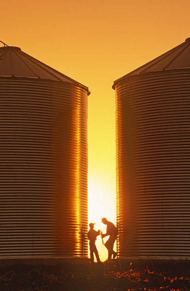 Father and Son Farmers Print