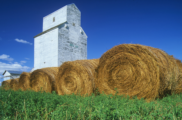 Alfalfa Bales in Front of Abandoned Grain Elevator by Dave Reede Photohgraphy